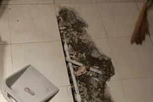 泊头卫生间漏水检测电话